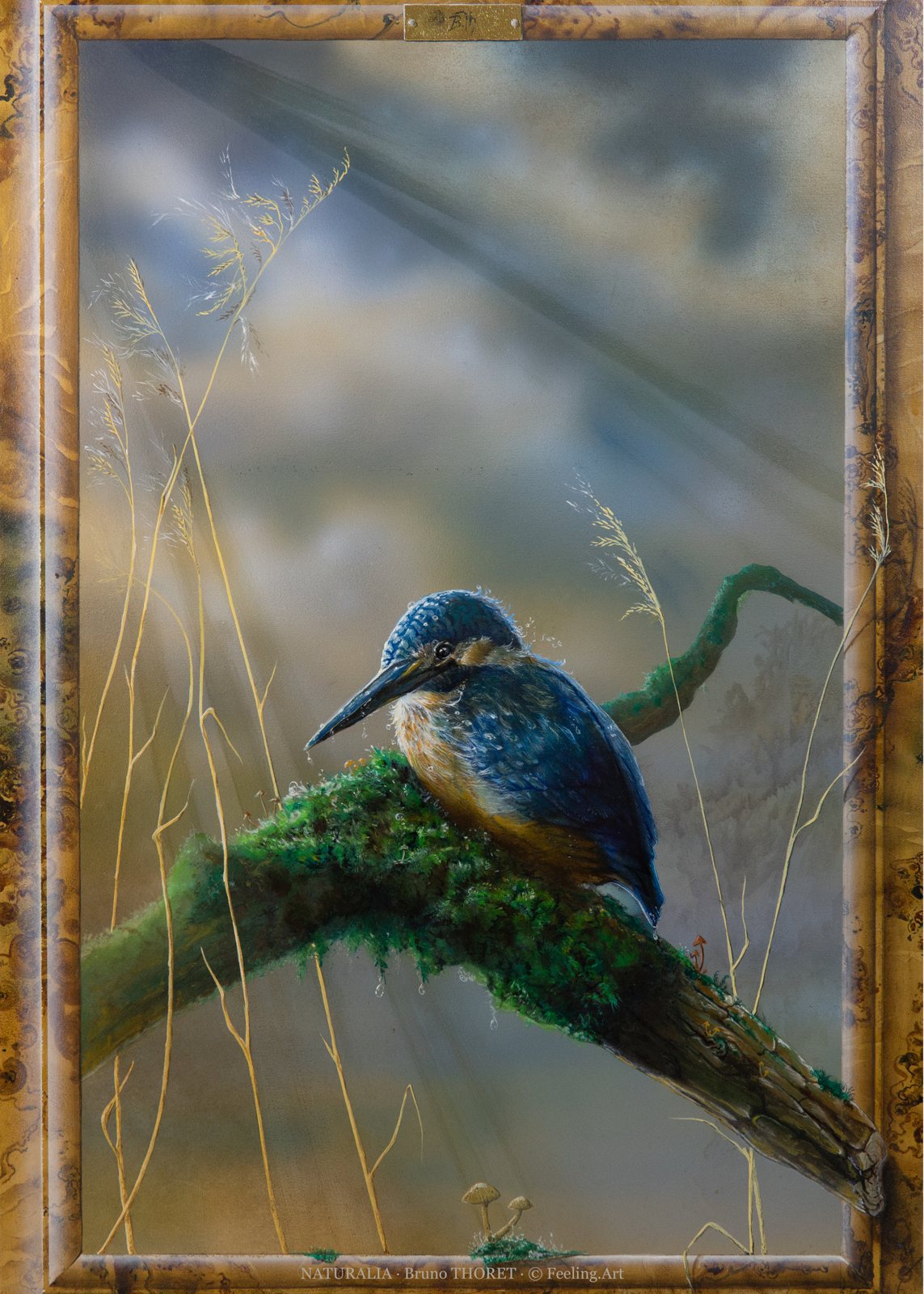 Naturalia, peinture de Bruno Thoret : martin-pêcheur sur une branche moussue, cadre en trompe-l’œil